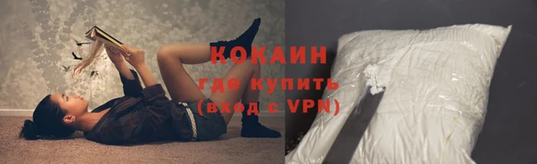 стаф Вяземский