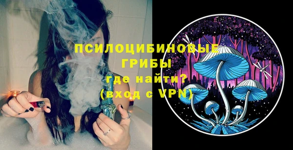 стафф Вязьма