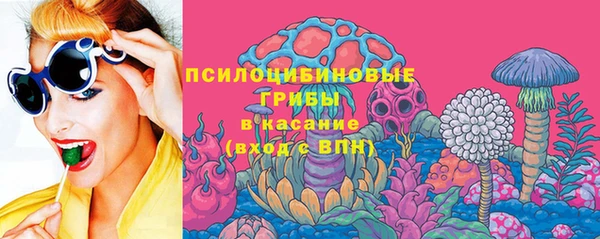 стафф Вязьма