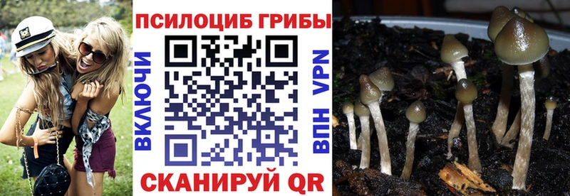 Галлюциногенные грибы мухоморы Вилюйск